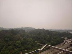 Bukit Timah Shopping Centre (D21), Office #632379561